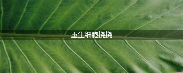 重生细胞挠挠有什么用 挠挠具体用法解析