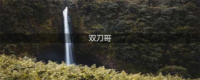 黄泉之路双刀哥怎么打 双刀哥攻克技巧分享