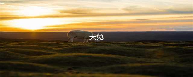 《泰拉瑞亚》天兔怎么打 天兔打法技巧(天兔)