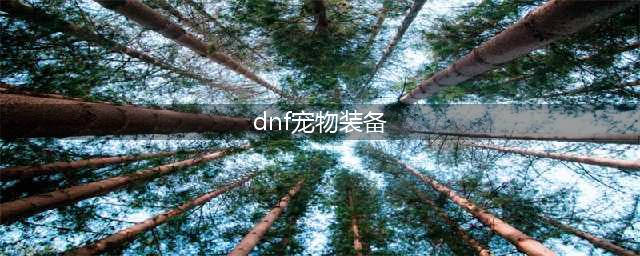 《dnf》宠物装备怎么得 宠物装备获取攻略(dnf宠物装备)