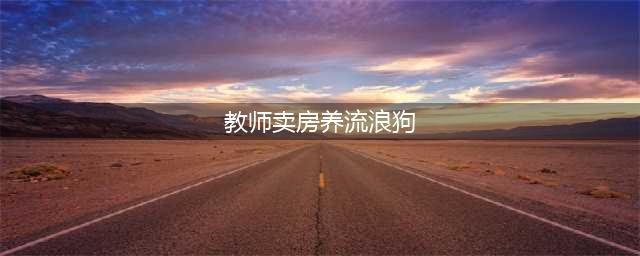 教师卖房养流浪狗感动网友 240只流浪狗一顿饭要“吃掉200元”(教师卖房养流浪狗)