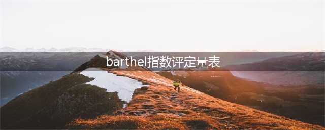 Barthel指数评定量表(barthel指数评定量表)
