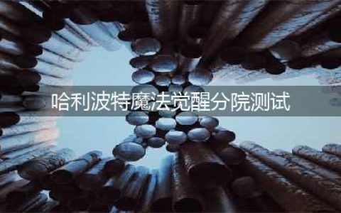 《哈利波特魔法觉醒》分院测试题大全 分院测试题有什么(哈利波特魔法觉醒分院测试)