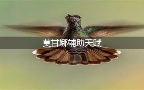 英雄联盟莫甘娜天赋怎么点 2023莫甘娜天赋选择攻略