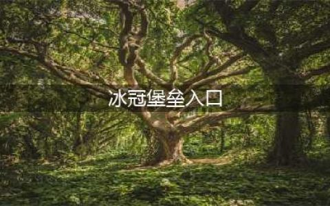 魔兽世界冰冠堡垒入口在哪 魔兽世界冰冠堡垒入口位置