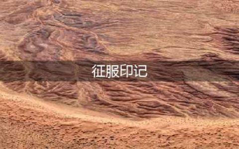 魔兽世界征服印记饰品怎么获得(征服印记)