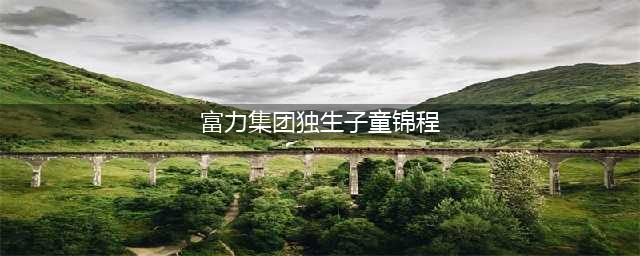 童锦程家世怎么样?起底童锦程的走红原因及身份背景(富力集团独生子童锦程)