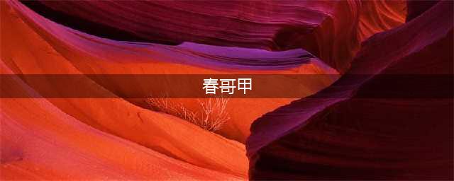 《英雄联盟》春哥甲是什么装备(春哥甲)