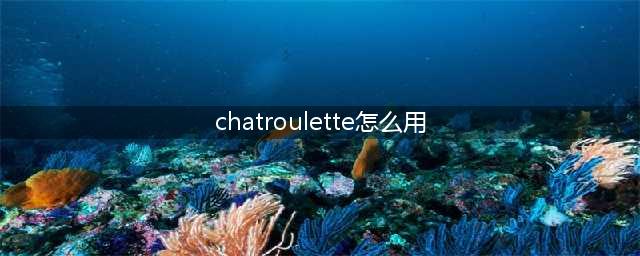 如何使用随机视频聊天网站Chatroulette(chatroulette怎么用)