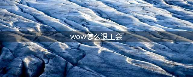 魔兽世界怎么退出公会(wow怎么退工会)