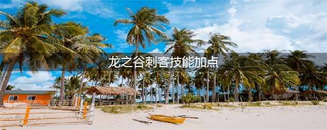 《龙之谷》手游刺客技能怎么加点 刺客技能加点攻略(龙之谷刺客技能加点)
