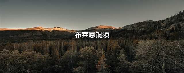 《魔兽世界》怀旧服wlk铜须兄弟任务攻略
