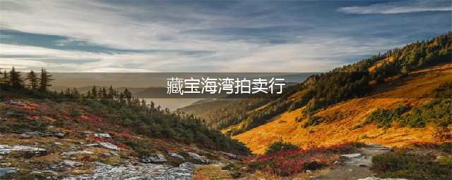 魔兽世界怀旧服藏宝海湾拍卖行在哪 藏宝海湾拍卖行位置介绍