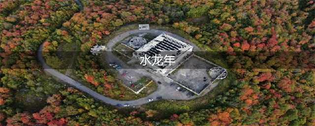 曾仕强预言2024年龙是水龙？明年终于转运了！(水龙年)