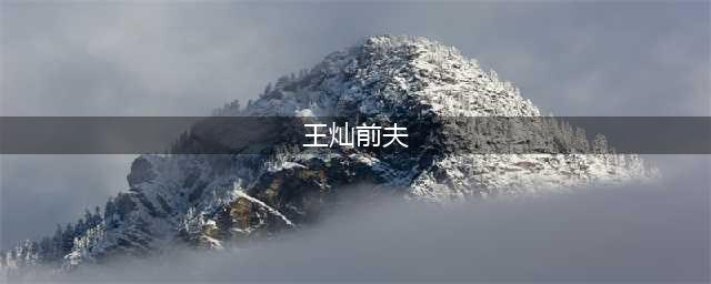 杜淳的老婆王灿居然是二婚？还比杜淳大7岁！前夫是富二代(王灿前夫)