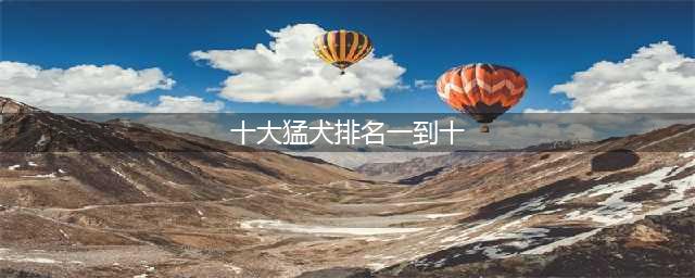 世界十大猛犬排名，前五都是狠角色，战斗力爆表(十大猛犬排名一到十)