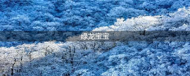 《魔兽世界》怀旧服绿龙宝宝在哪刷新 绿龙宝宝刷新时间一览(绿龙宝宝)