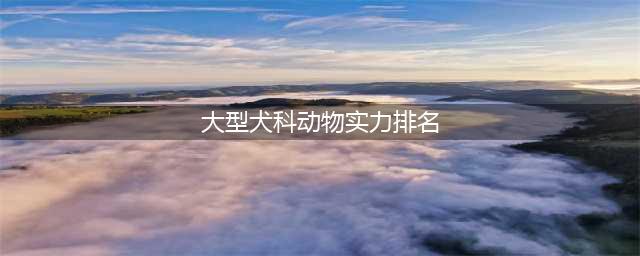世界排名前25的大型犬种(大型犬科动物实力排名)