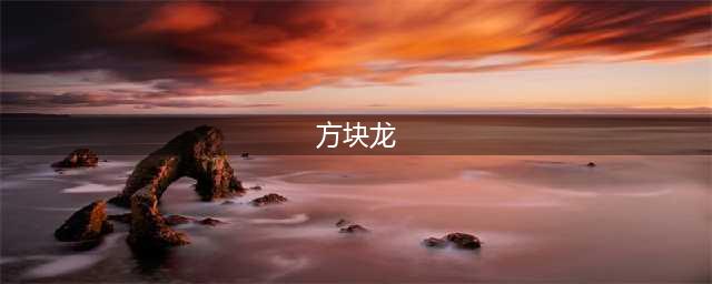笑笑为什么叫方块龙 曾被PDD怀疑打假赛(方块龙)