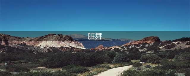 董小华｜莫言小说和天津花姐脏舞之比较(脏舞)