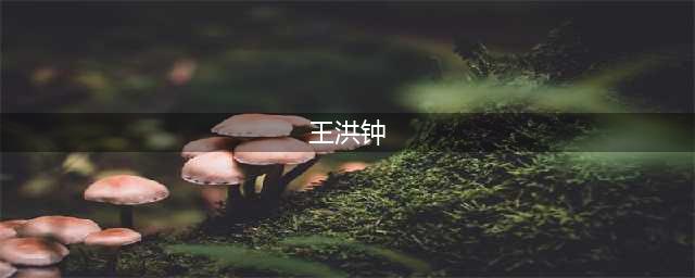 密云区原县长王洪钟案件警示录(王洪钟)