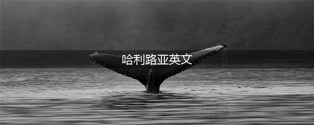 听歌学英语 哈利路亚 Hallelujah(哈利路亚英文)