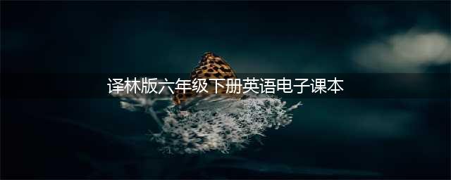 苏教译林版六年级下册英语电子课本教材（高清PDF版）(译林版六年级下册英语电子课本)