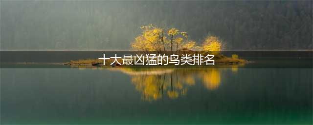 世界上最凶猛的10种鸟，金雕到底有多厉害？猎杀野狼轻而易举？(十大最凶猛的鸟类排名)