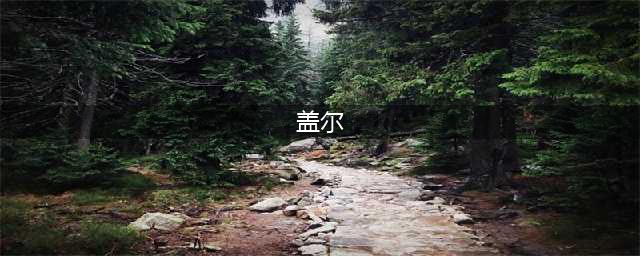 凯莉盖尔，维密天使手下最耀眼的美女之一！(盖尔)