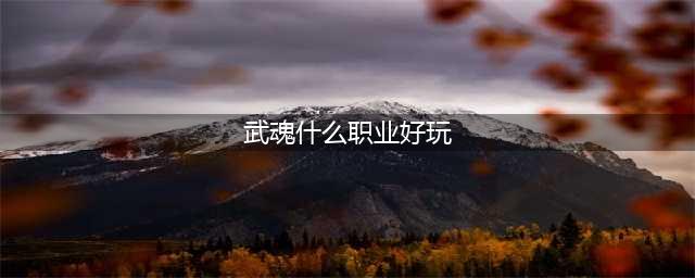 武魂劫单职业好玩吗 武魂劫单职业玩法简介(武魂什么职业好玩)