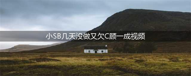 这个“SB”的LOGO终于换了！！(小SB几天没做又欠C顾一成视频)