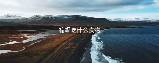 《魔兽世界怀旧服》蝙蝠吃什么 蝙蝠食物推荐(蝙蝠吃什么食物)