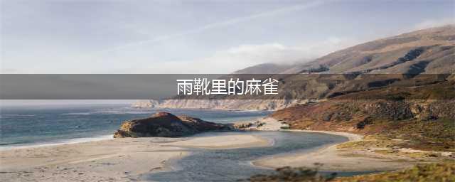 睡前故事 | 雨靴里的麻雀(雨靴里的麻雀)