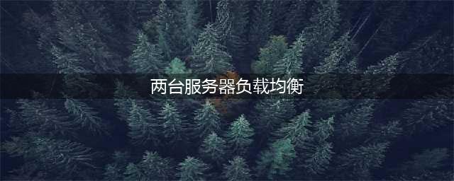 如何设置两台服务器负载均衡(两台服务器负载均衡)