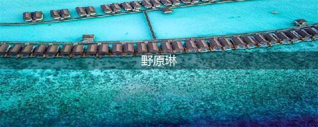 《火影忍者手游》2020野原琳免费获取办法 野原琳如何获取(野原琳)