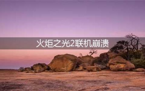 火炬之光2无法联机怎么办 无法联机解决办法(火炬之光2联机崩溃)