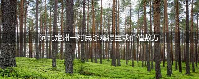 河北定州一村民杀鸡得宝：鸡肚里掏出一块黄色肉疙瘩 或价值数万(河北定州一村民杀鸡得宝或价值数万)