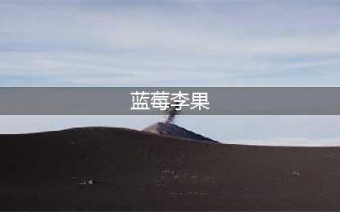 列车上推销的新疆特产“蓝莓李果”真的是蓝莓吗？(蓝莓李果)