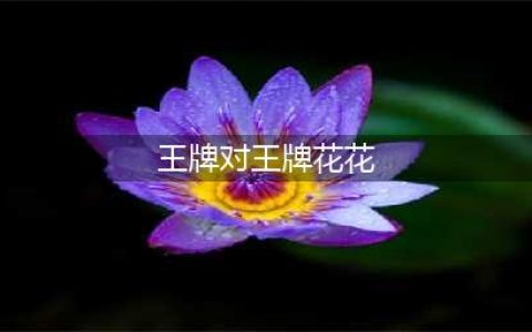 王牌这期花花是隐藏的火爆的后槽牙，隐藏得特别好，没有一点破绽(王牌对王牌花花)