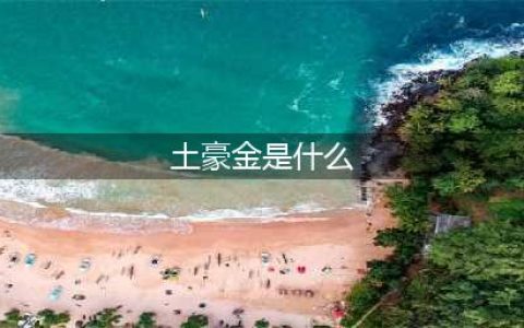元气骑士光剑土豪金属性是什么 光剑土豪金属性介绍(土豪金是什么)