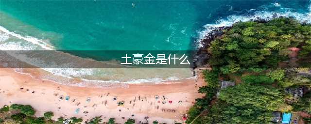 元气骑士光剑土豪金属性是什么 光剑土豪金属性介绍(土豪金是什么)
