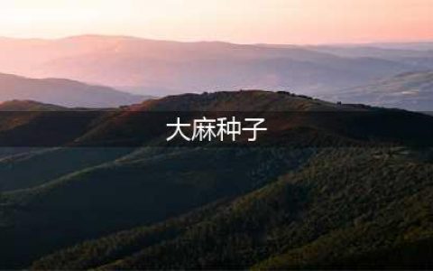 跨境邮购大麻种子 难逃海关"法眼"(大麻种子)