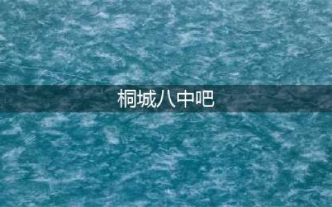 桐城八中带给我什么？2023届毕业生有话说(桐城八中吧)
