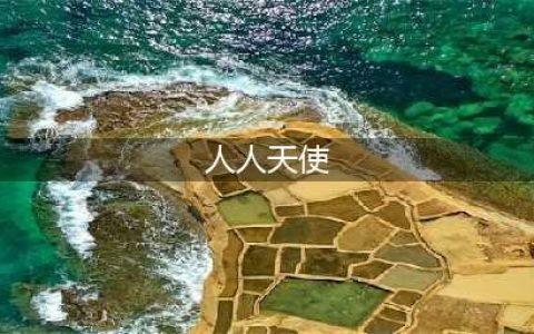 “人人天使”教给你一年躺赚百万的洗车行共享模式！(人人天使)