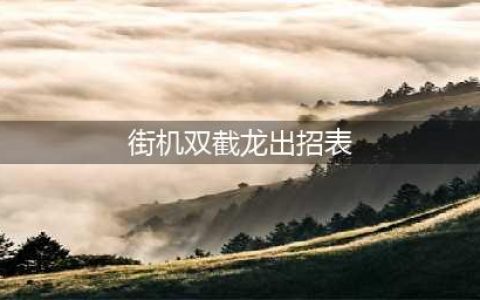 《双截龙》全人物出招表大全 双截龙出招简化版(街机双截龙出招表)