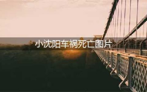 赵本山爱徒小沈阳被传去世，车祸现场惨不忍睹，究竟发生了什么？(小沈阳车祸死亡图片)