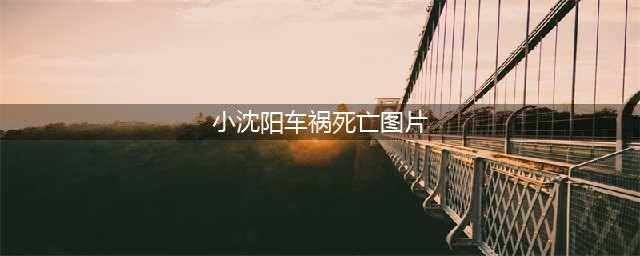 赵本山爱徒小沈阳被传去世，车祸现场惨不忍睹，究竟发生了什么？(小沈阳车祸死亡图片)