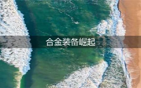 《合金装备崛起》价格一览