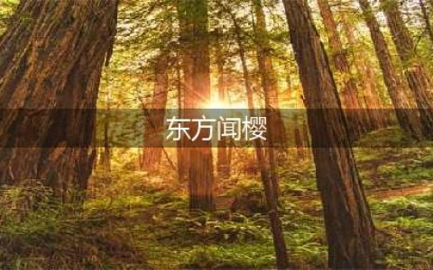 东方闻樱本色出演《红楼梦》，女孩没人和她玩，只和陈晓旭联系好(东方闻樱)