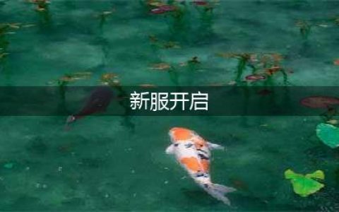 《萌将风云》新服“安卓534服“06月24日开启